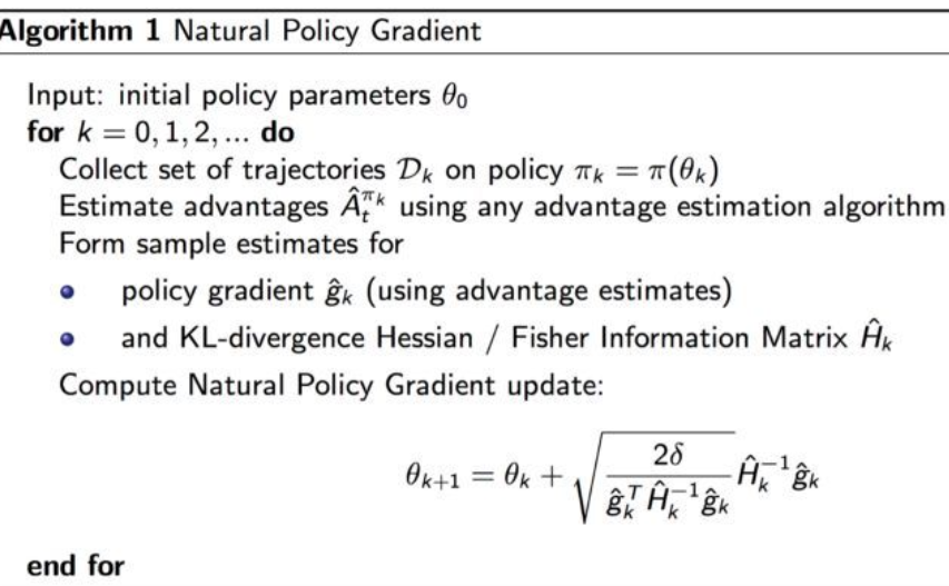 ../../../_images/pseucode-NPG.png